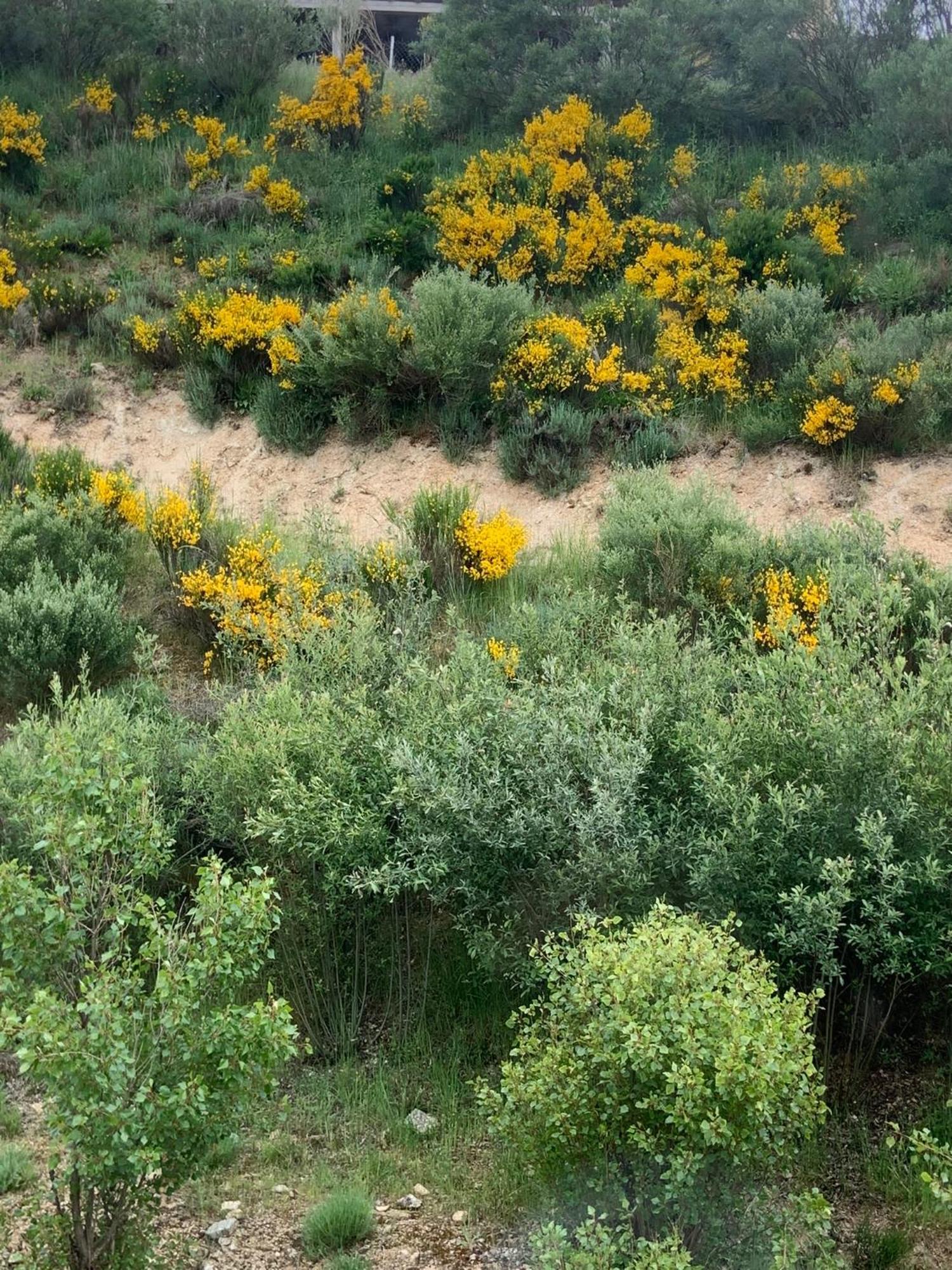 Chalet Rural En Angeles De San Rafael El Espinar Εξωτερικό φωτογραφία